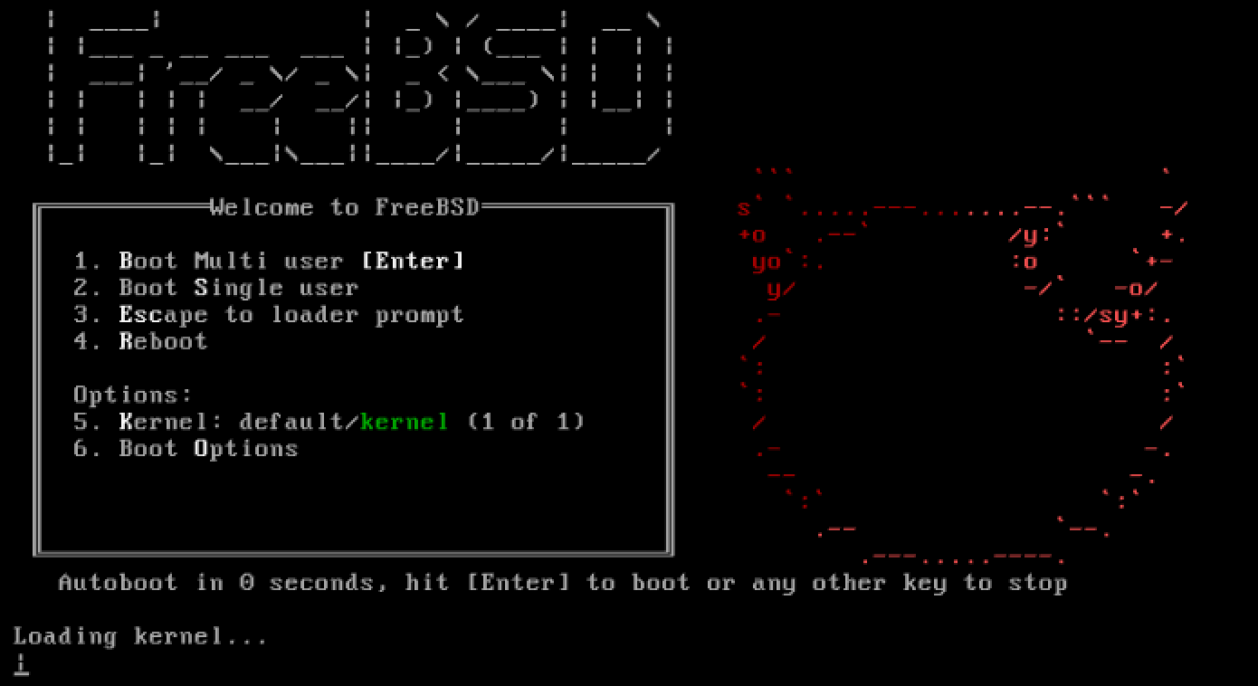 freebsd install - logo